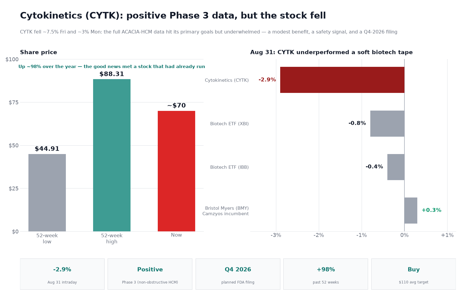 Two-panel chart titled 'Cytokinetics (CYTK): positive Phase 3 data, but the stock fell.' The left panel shows three share-price bars — a 52-week low of $44.91, a 52-week high of $88.31, and a current price of about $70 — with a note that the stock is up about 98% over the year, so the good news met a stock that had already run. The right panel shows August 31 stock moves: Cytokinetics down 2.9%, the XBI biotech ETF down 0.8%, the IBB biotech ETF down 0.4%, and Bristol Myers (the Camzyos incumbent) up 0.3% — showing Cytokinetics underperformed a soft biotech tape. A stat strip shows the intraday move, the positive non-obstructive-HCM Phase 3 result, a planned Q4 2026 FDA filing, a 98% 52-week gain, and a Buy consensus with a $110 average price target.